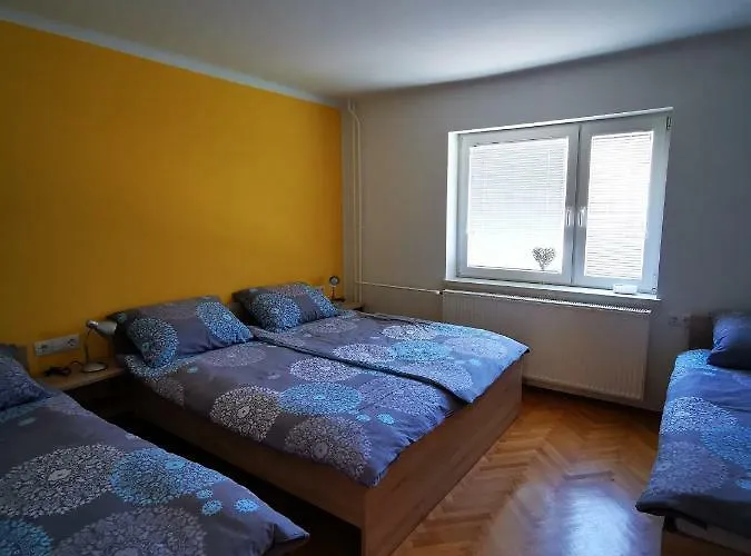 Apartmaji Tomsic דירה *